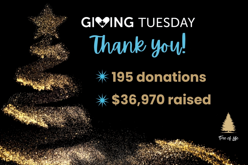 Giving Tuesday 2025 - Results